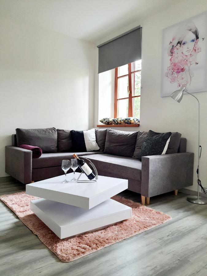 Apartman Spalovka Nový Bor Εξωτερικό φωτογραφία